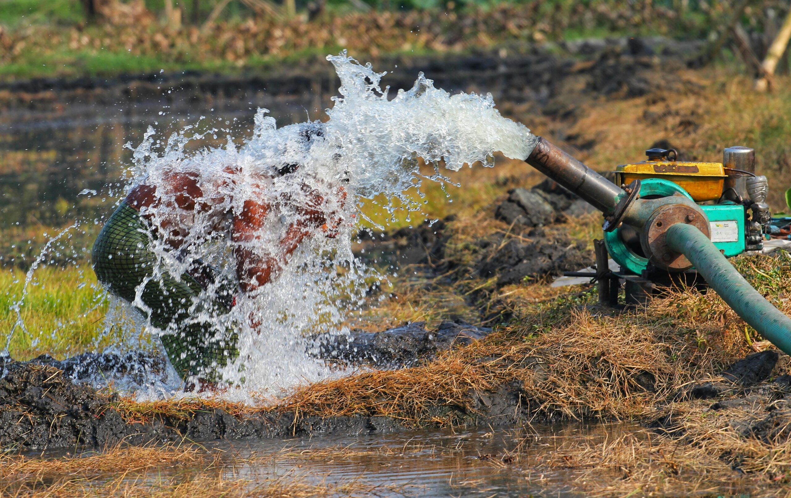 Man enjoying refreshing water splash from pump in rice paddy field.
